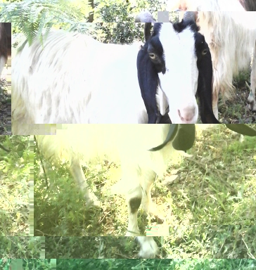 20150610_100428-2.jpg 20150610_100428-2.jpg