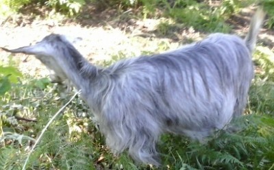 20150610_172351-1.jpg (109.24 KiB) Osservato 954 volte 20150610_172351-1.jpg