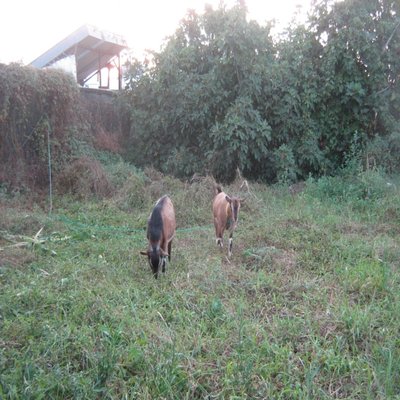 002.JPG (318.95 KiB) Osservato 1022 volte 002.JPG