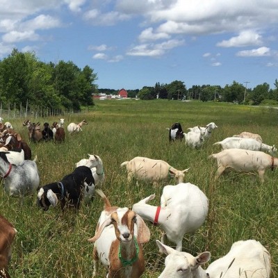 11046323_831004563673354_757159474766741932_n.jpg (119.06 KiB) Osservato 1016 volte 11046323_831004563673354_757159474766741932_n.jpg