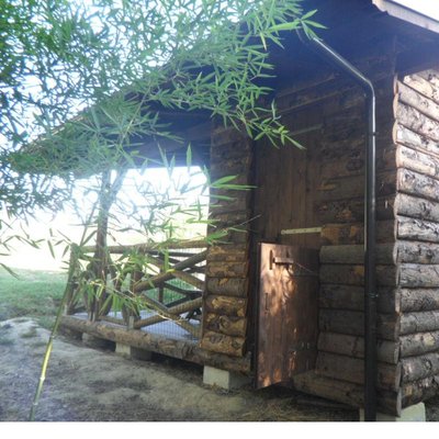 SAM_3683.JPG (129.74 KiB) Osservato 1387 volte SAM_3683.JPG