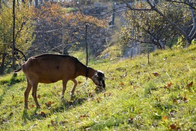 rocca.jpg (172.1 KiB) Osservato 6003 volte rocca.jpg