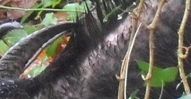 Immagine 1.JPG Immagine 1.JPG