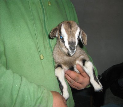 ha 2 giorni ed è una femminuccia / 126.JPG 126.JPG