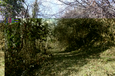 IMG_0795.JPG (220.51 KiB) Osservato 2088 volte IMG_0795.JPG