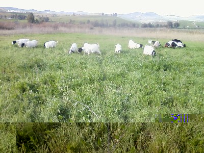 Foto-0123.jpg Foto-0123.jpg