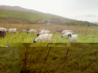 Foto-0125.jpg Foto-0125.jpg