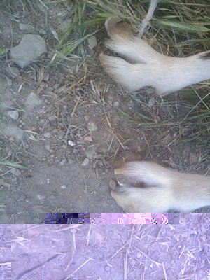 201306191756_385.jpg (101.37 KiB) Osservato 1135 volte 201306191756_385.jpg