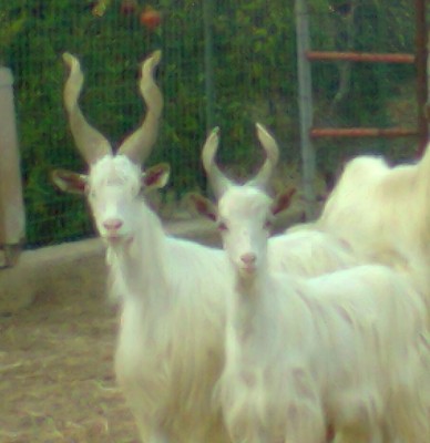 mamma e figlia / Foto0120.jpg Foto0120.jpg