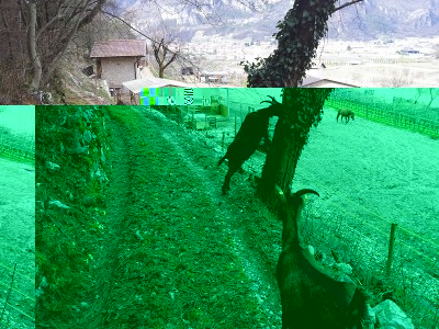 20140222_144003.jpg (324.42 KiB) Osservato 1174 volte 20140222_144003.jpg