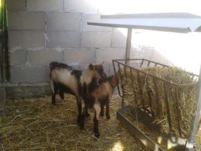 2014-04-08 17.03.21.jpg (152.36 KiB) Osservato 816 volte 2014-04-08 17.03.21.jpg