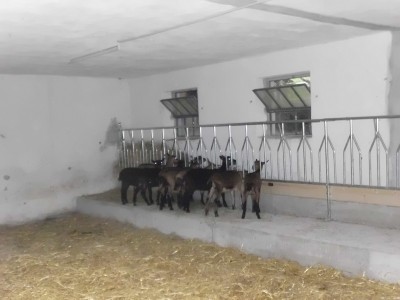 HPIM0239.JPG (135.79 KiB) Osservato 3692 volte HPIM0239.JPG