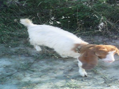 betty.jpg (125.71 KiB) Osservato 1166 volte betty.jpg