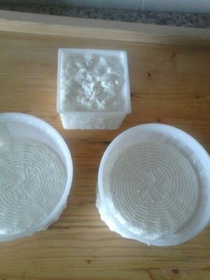primosale con ricotta.jpg (25.88 KiB) Osservato 1787 volte primosale con ricotta.jpg