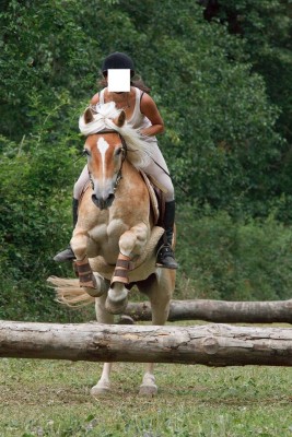 33073340_1926783057577110_3889106656193150976_n.jpg (115.21 KiB) Osservato 1403 volte 33073340_1926783057577110_3889106656193150976_n.jpg