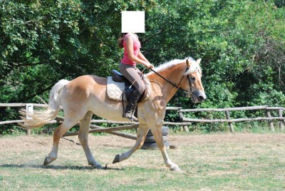 33110447_1926782990910450_2303607032059527168_n.jpg (148.6 KiB) Osservato 1403 volte 33110447_1926782990910450_2303607032059527168_n.jpg