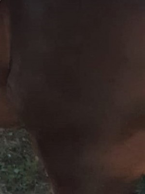 Marchio Sicilia.jpg (31.23 KiB) Osservato 2338 volte Marchio Sicilia.jpg