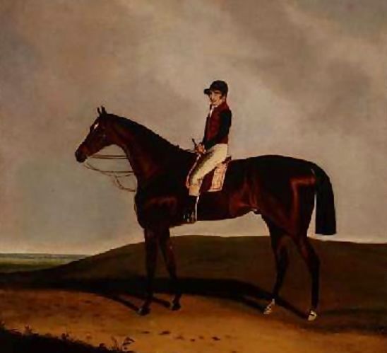 C. Markham _ A Bay Racehorse 1851.jpg C. Markham _ A Bay Racehorse 1851.jpg