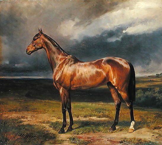 Carl Steffeck _ Abdul Medschid the chestnut arab horse, 1855.jpg Carl Steffeck _ Abdul Medschid the chestnut arab horse, 1855.jpg