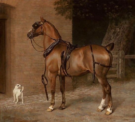 Jacques Laurent Agasse _ A Carriage Horse.jpg Jacques Laurent Agasse _ A Carriage Horse.jpg
