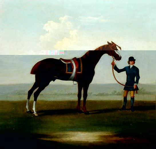James Seymour _ A Chestnut Horse.jpg James Seymour _ A Chestnut Horse.jpg