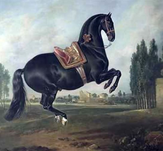Johann Georg Hamilton _ A black horse performing the Courbette 2.jpg Johann Georg Hamilton _ A black horse performing the Courbette 2.jpg