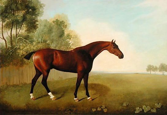 John Boultbee _ A Bay Horse in a Field, 1778.jpg John Boultbee _ A Bay Horse in a Field, 1778.jpg