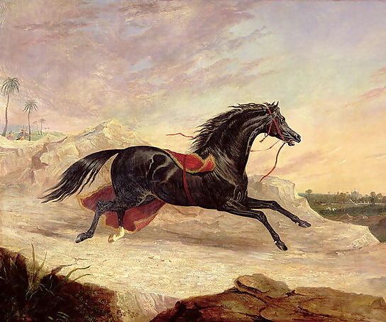 John Frederick Herring Snr _ Arabs chasing a loose arab horse in an eastern landscape.jpg John Frederick Herring Snr _ Arabs chasing a loose arab horse in an eastern landscape.jpg