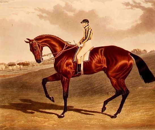 John Frederick Herring Snr _ 'Bay Middleton' winner of the Derby in 1836.jpg John Frederick Herring Snr _ 'Bay Middleton' winner of the Derby in 1836.jpg