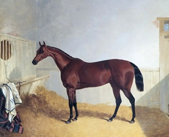 John Frederick Herring Snr _ Beeswing A Dark Bay Racehorse 1842.jpg John Frederick Herring Snr _ Beeswing A Dark Bay Racehorse 1842.jpg
