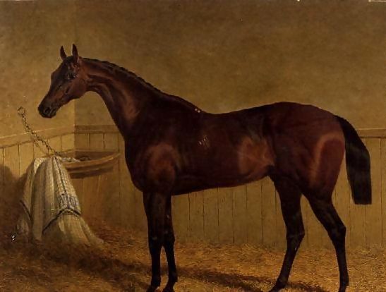 John Frederick Herring Snr _ 'Beeswing', a bay racehorse in a loosebox.jpg John Frederick Herring Snr _ 'Beeswing', a bay racehorse in a loosebox.jpg