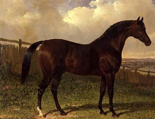 John Frederick Herring Snr _ 'Emilius', a bay racehorse in a paddock.jpg John Frederick Herring Snr _ 'Emilius', a bay racehorse in a paddock.jpg