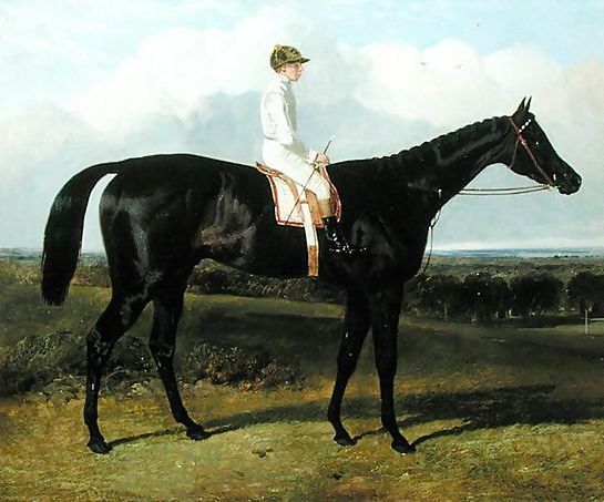 John Frederick Herring Snr _ 'Jonathan Wild', a Dark Bay Race Horse, at Goodwood, T. Ryder up, 1846.jpg John Frederick Herring Snr _ 'Jonathan Wild', a Dark Bay Race Horse, at Goodwood, T. Ryder up, 1846.jpg