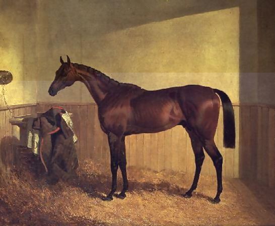John Frederick Herring Snr _ 'The Merry Monarch', a bay racehorse, in a loosebox.jpg John Frederick Herring Snr _ 'The Merry Monarch', a bay racehorse, in a loosebox.jpg