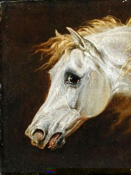 Martin Theodore Ward _ Head of a Grey Arabian Horse.jpg Martin Theodore Ward _ Head of a Grey Arabian Horse.jpg