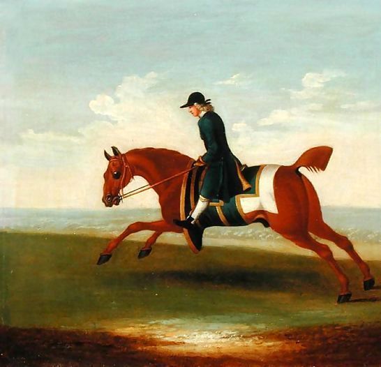 James Seymour _ Chestnut Racehorse Exercised by a Trainer in a Blue Coat.jpg James Seymour _ Chestnut Racehorse Exercised by a Trainer in a Blue Coat.jpg