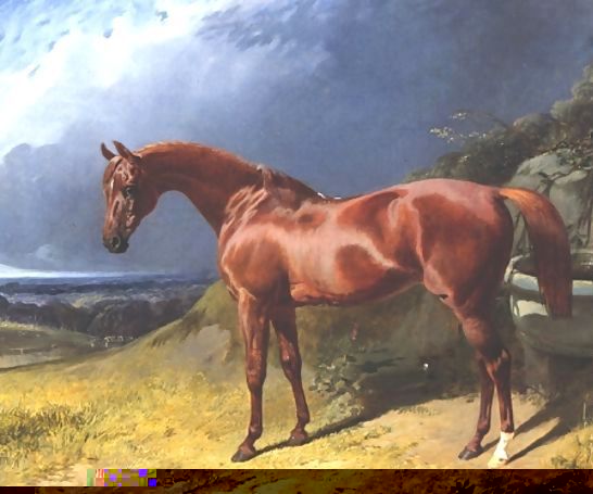 John Frederick Herring Snr _ Chestnut A Racehorse.jpg John Frederick Herring Snr _ Chestnut A Racehorse.jpg