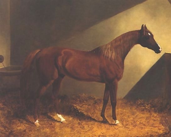 John Frederick Herring Snr _ Chestnut Racehorse In Stall.jpg John Frederick Herring Snr _ Chestnut Racehorse In Stall.jpg