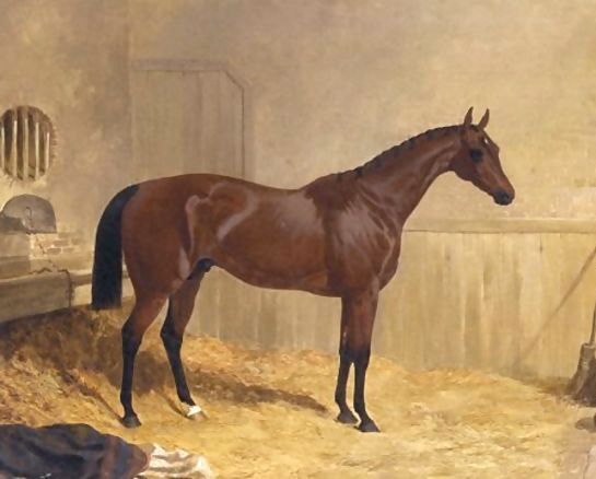 John Frederick Herring Snr _ Cotherstone A Racehorse 1843.jpg John Frederick Herring Snr _ Cotherstone A Racehorse 1843.jpg