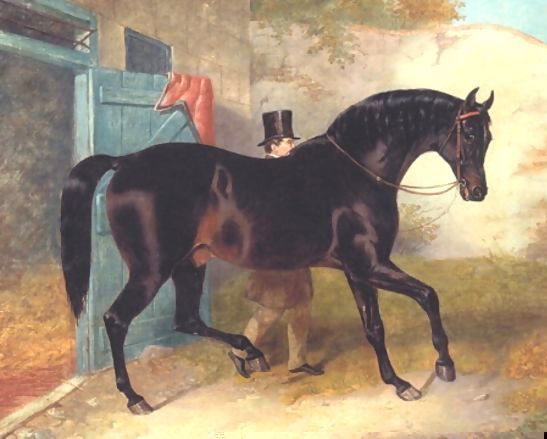 John Frederick Herring Snr _ Dark Bay Racehorse by Stable.jpg John Frederick Herring Snr _ Dark Bay Racehorse by Stable.jpg