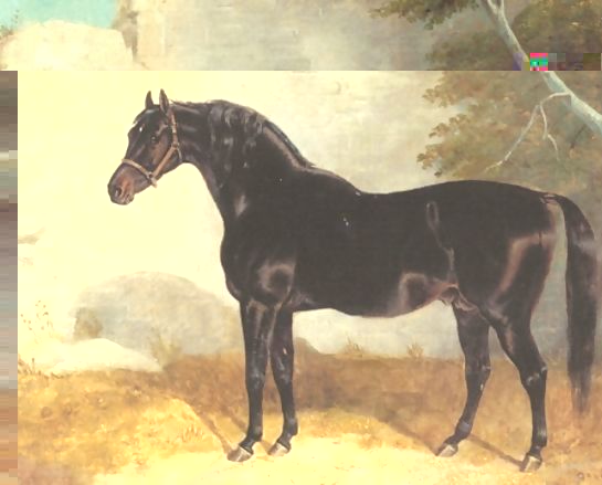 John Frederick Herring Snr _ Dark Bay Racehorse in Courtyard.jpg John Frederick Herring Snr _ Dark Bay Racehorse in Courtyard.jpg