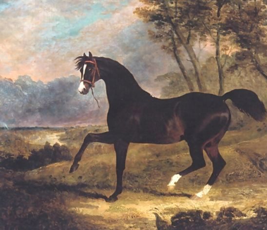 John Frederick Herring Snr _ Dark Bay Racehorse in Landscape.jpg John Frederick Herring Snr _ Dark Bay Racehorse in Landscape.jpg