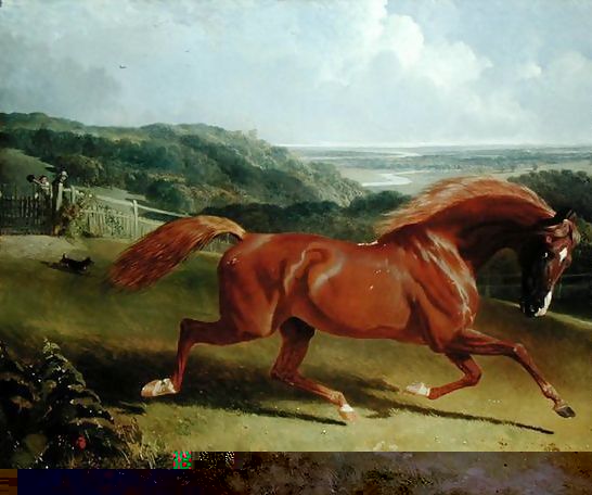 John Frederick Herring Snr _ Galloping Horse in a Landscape.jpg John Frederick Herring Snr _ Galloping Horse in a Landscape.jpg