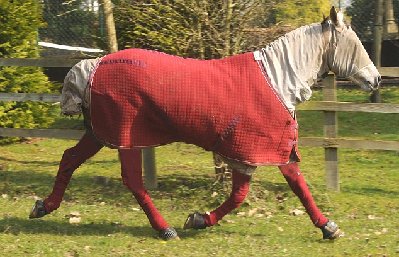 CVLM.jpg (103.96 KiB) Osservato 737 volte CVLM.jpg