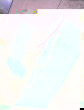 Redini linghina.jpg Redini linghina.jpg