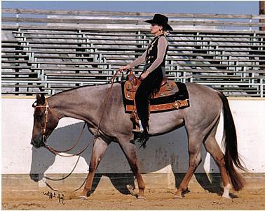 assetto.jpg assetto.jpg