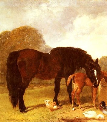 John Frederick Herring Snr_Horse and Foal watering at a trough.jpg (58.57 KiB) Osservato 832 volte John Frederick Herring Snr_Horse and Foal watering at a trough.jpg