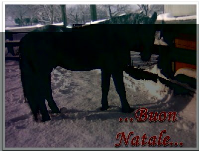 delfiNatale1.JPG (60.06 KiB) Osservato 920 volte delfiNatale1.JPG