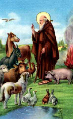 S.Antonio_Abate.JPG (32.96 KiB) Osservato 958 volte S.Antonio_Abate.JPG