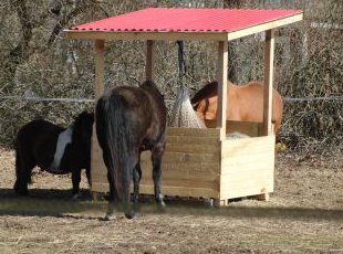 reti equi-wellness media / 866cec4f07.jpg 866cec4f07.jpg